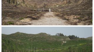 Restoration and fire proofing of the archaeological site and the wider landscape of Ancient Olympia