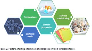 Monitoring the antimicrobial and antibiofilm potential of surface nano-coatings against pathogenic microorganisms