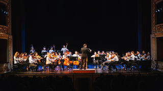 Support of Operation & Concert Organisation 2020